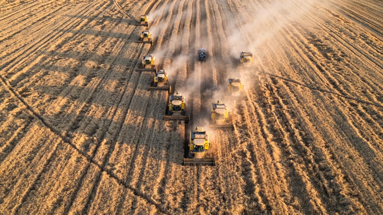 Tarımda robot filoları kurulacak