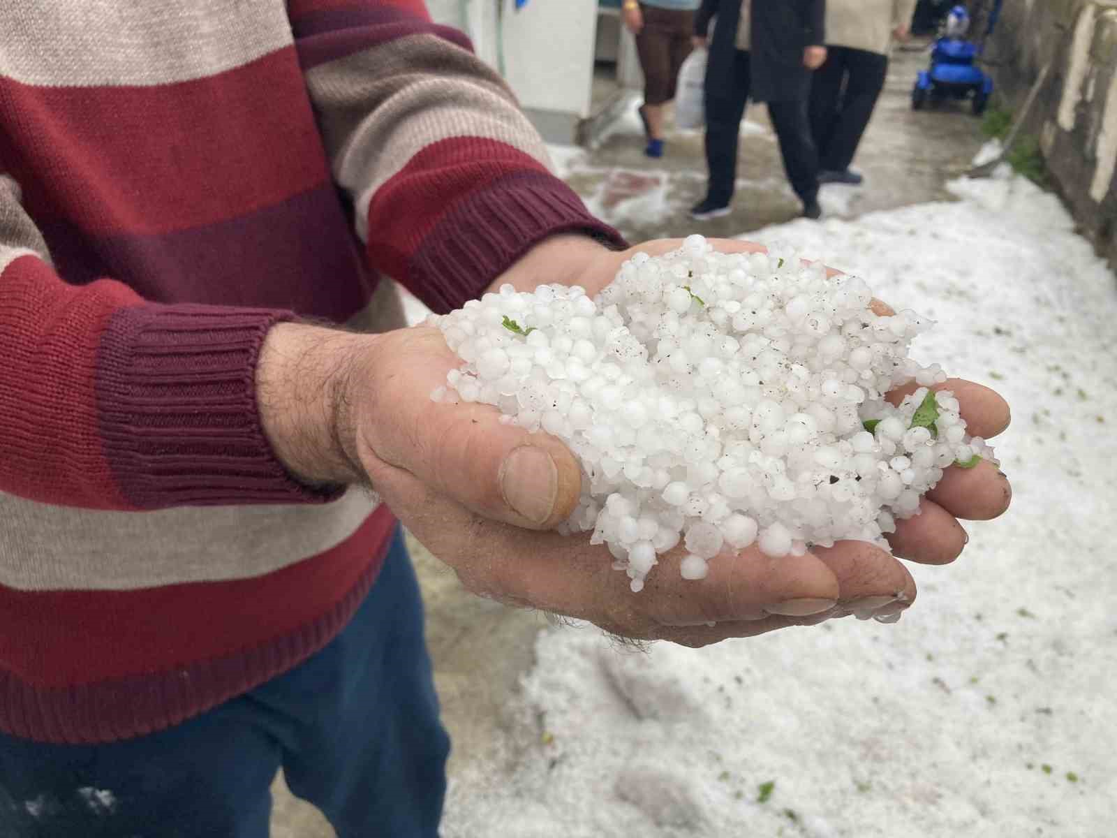 Refahiye’de dolu yağışı etkili oldu