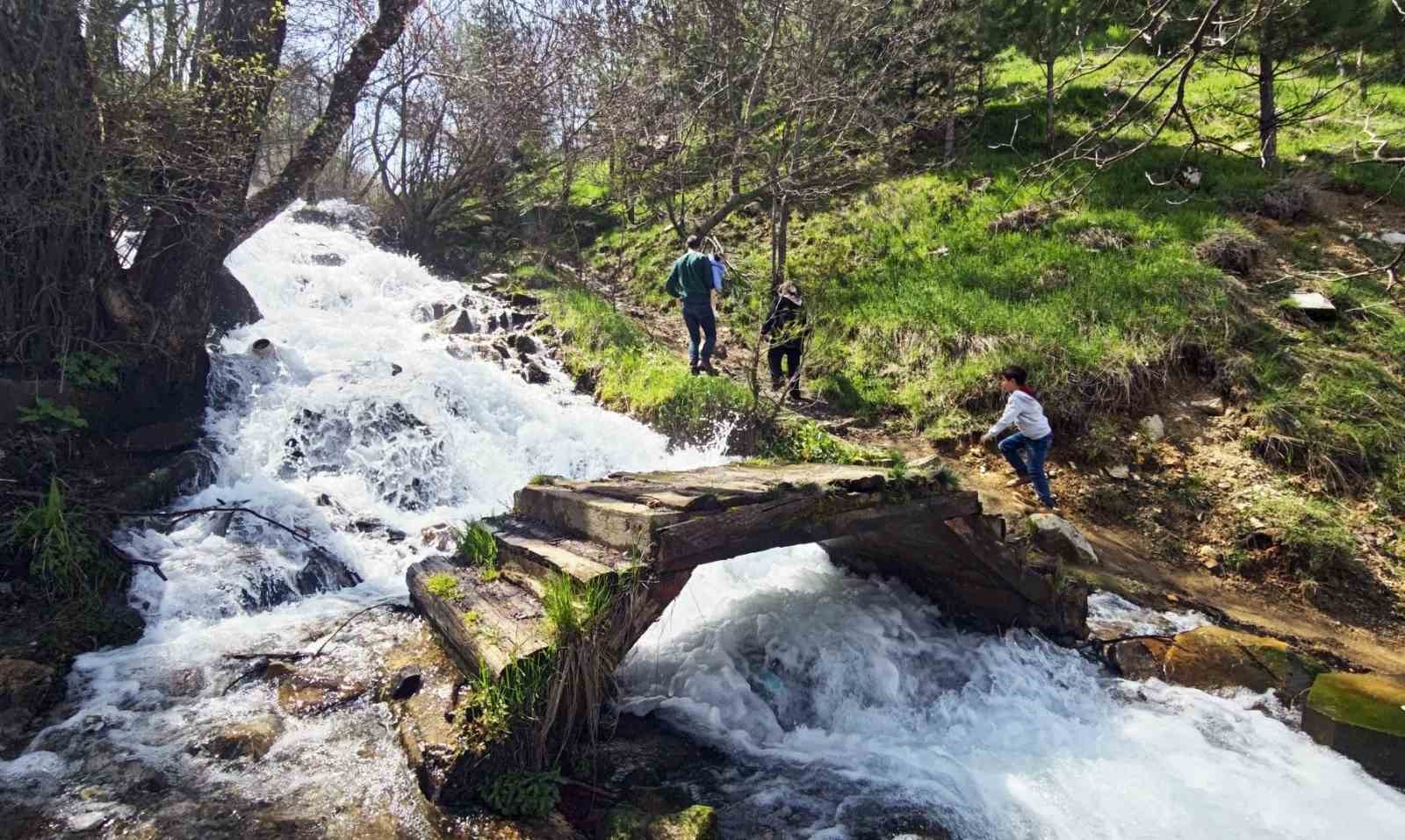 Kar sularıyla coşan Beyazsu Şelalesi hayran bırakıyor