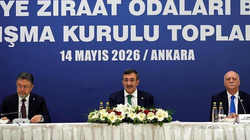 Cevdet Yılmaz: Tarımda yükselen yaş ortalamasını geriye çevirmemiz gerekiyor