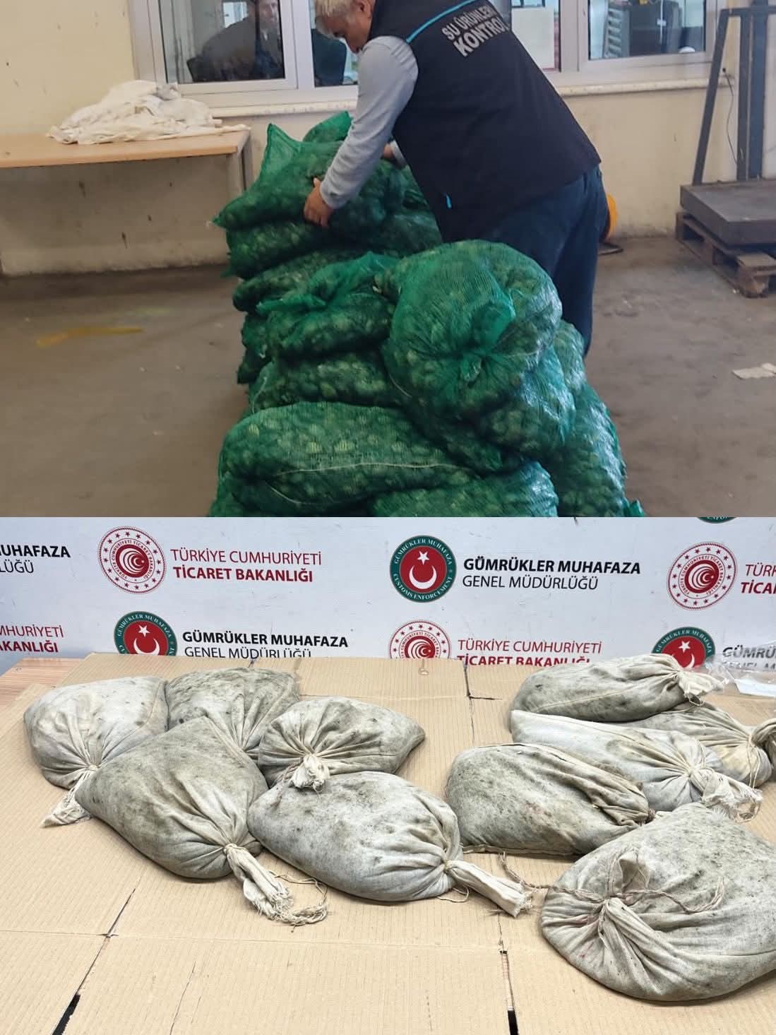 Kapıkule’de 760 kilo kaçak midye ele geçirildi
