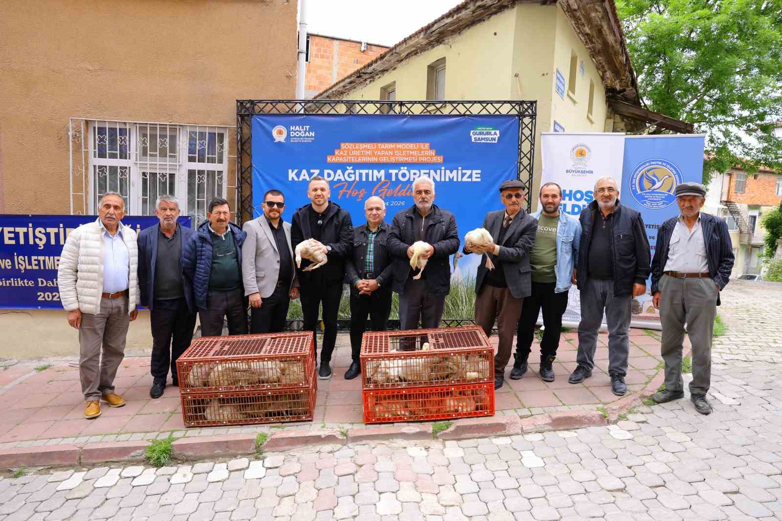 Samsun’da üreticiye yüzde 50 hibeli kaz palazı desteği