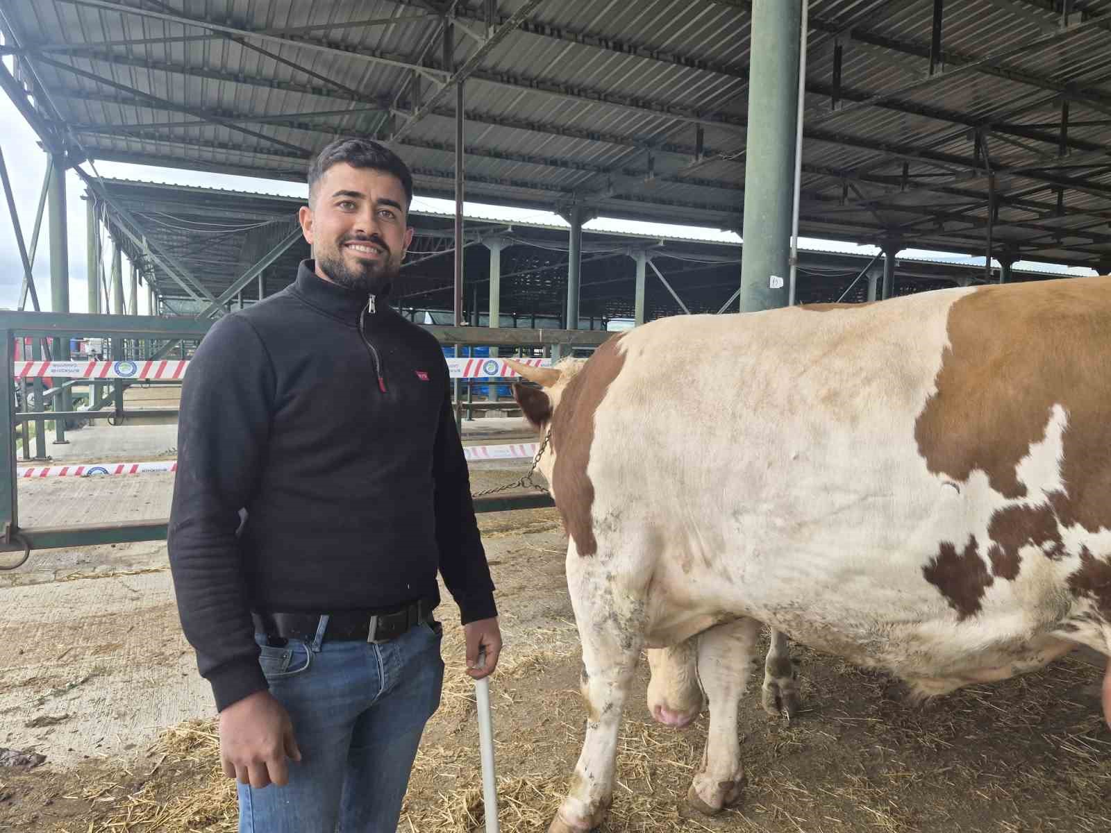 Eskişehir Hayvan Pazarı’nın şampiyon danası görücüye çıktı