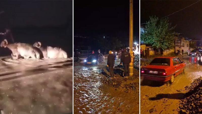 Hatay'da sağanak; hayvan pazarını su bastıHatay'ın Dörtyol ilçesinde etkili olan sağanak nedeniyle Kurban Bayramı için kurulan hayvan pazarını su bastı, göle dönen cadde ve sokaklarda ise sürücüler zor anlar yaşadı.
