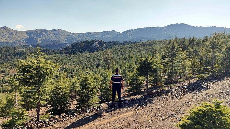 Muğla'da ormanlara giriş yasağıMuğla Valiliği, artan hava sıcaklıkları ve orman yangını riskine karşı yeni tedbirleri açıkladı. Valilik tarafından yayımlanan genel emir kapsamında, ormanlara 1 Haziran-31 Ekim tarihleri arasında girişler yasaklandı.