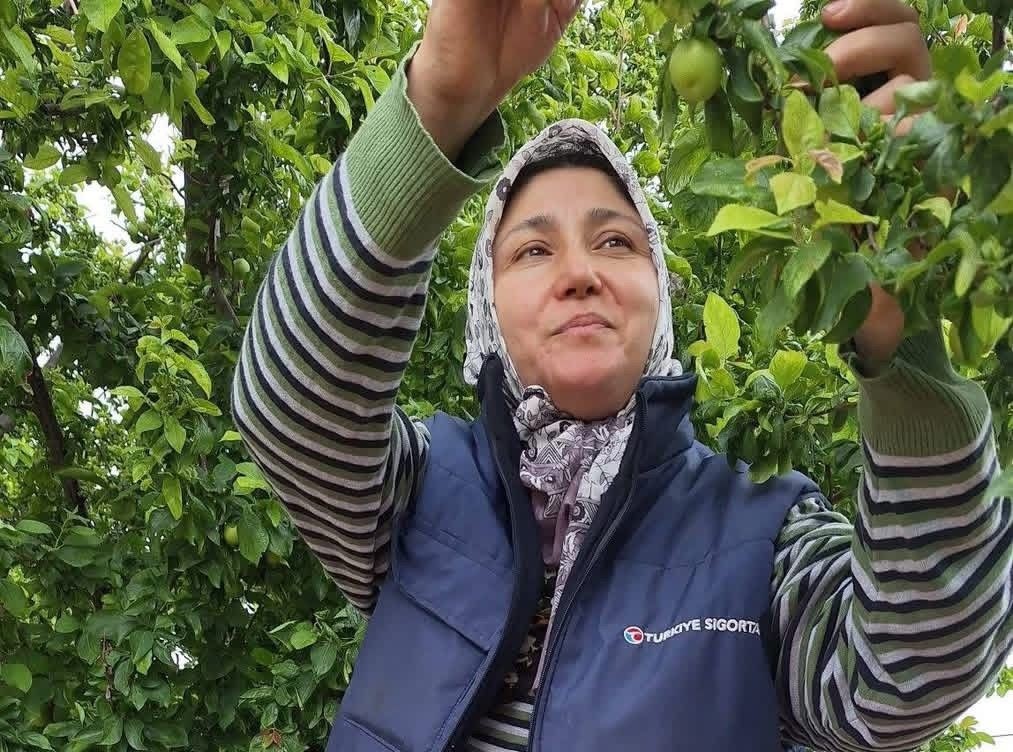 Yaz meyvelerinde bereket üreticinin yüzünü güldürdü