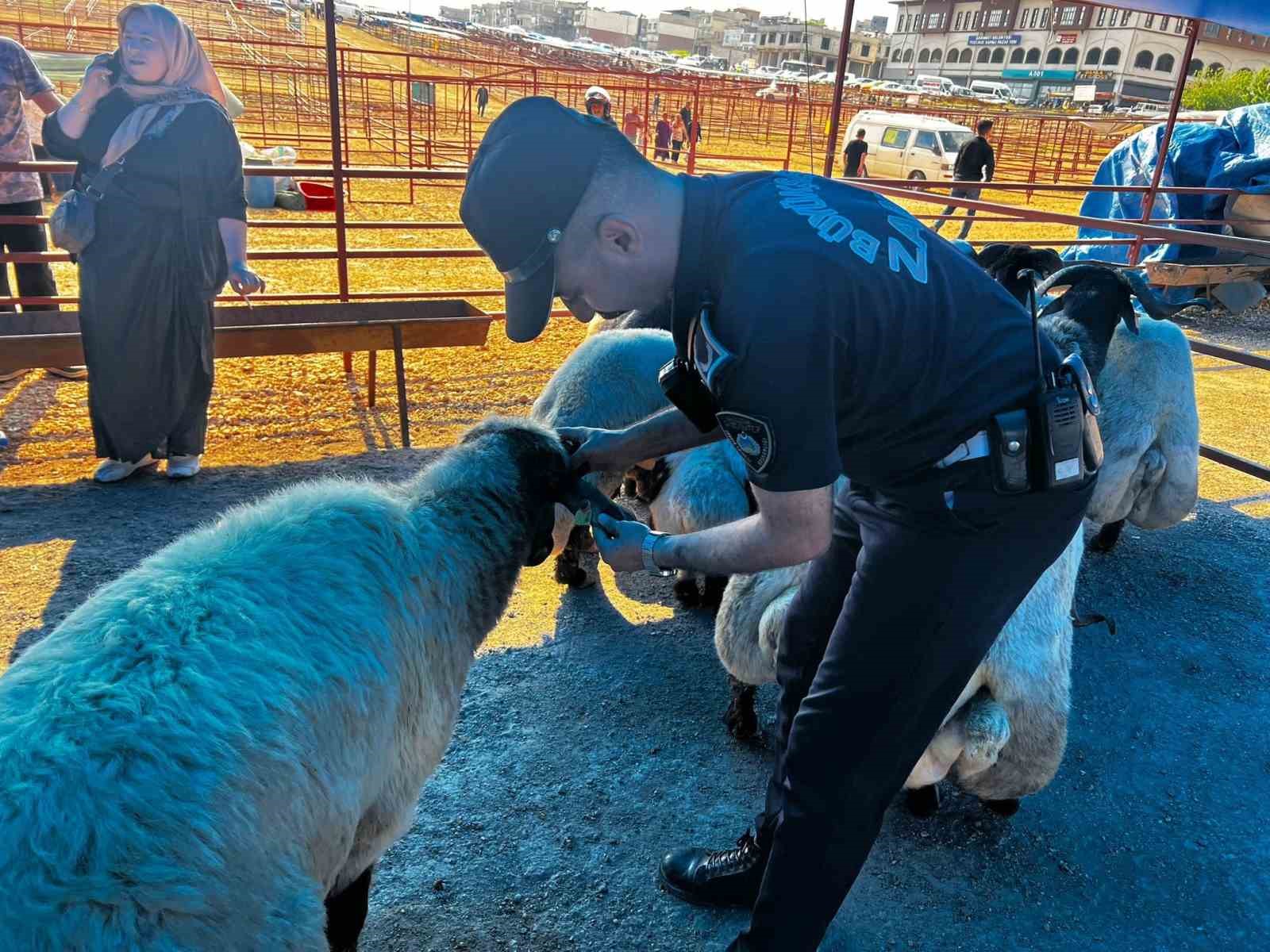 Gaziantep Büyükşehir’den bayram mesaisi