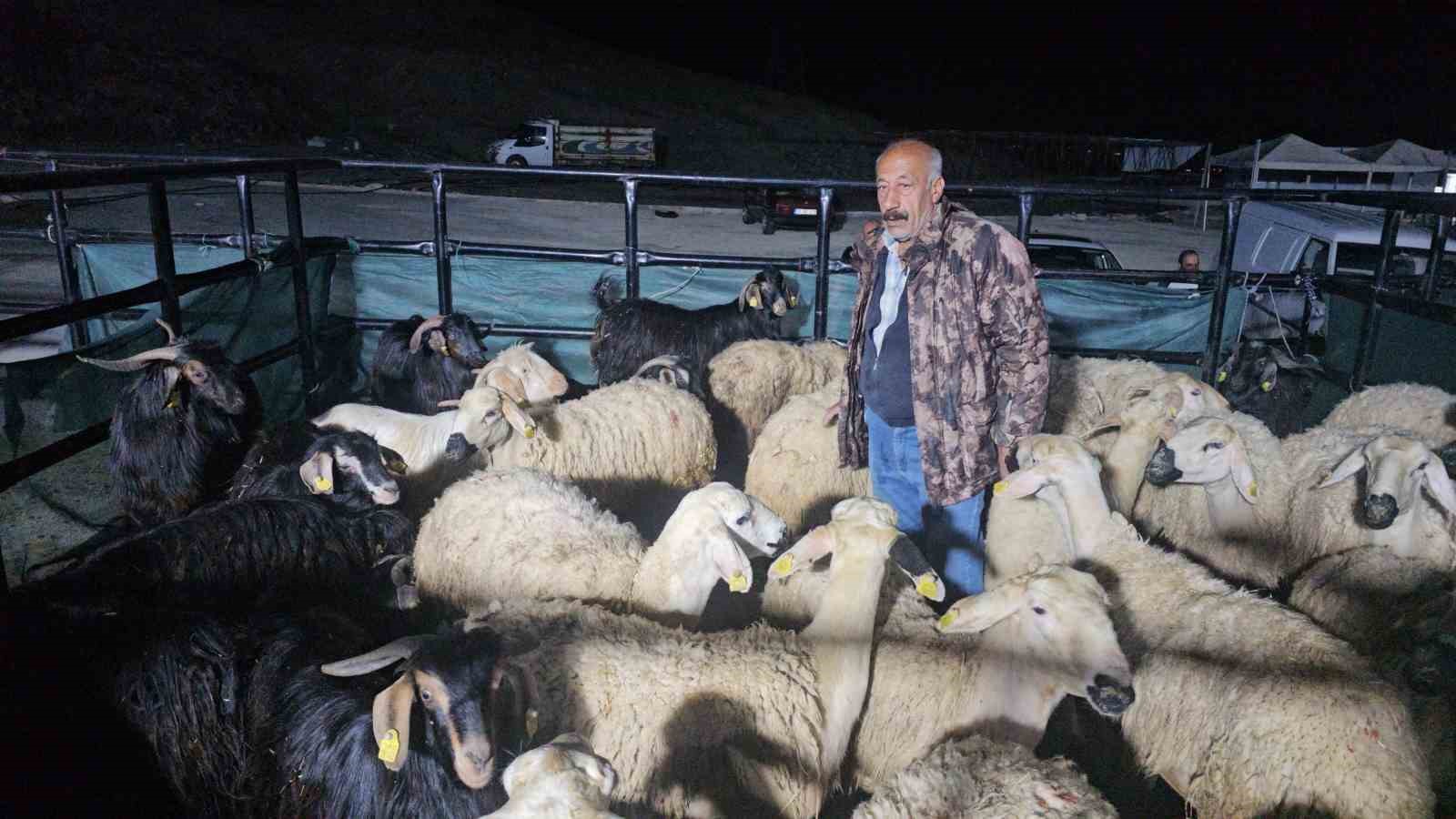 Elazığ’da kurban pazarında uykusuz mesai: Geceyi hayvanlarının başında geçiriyorlar
