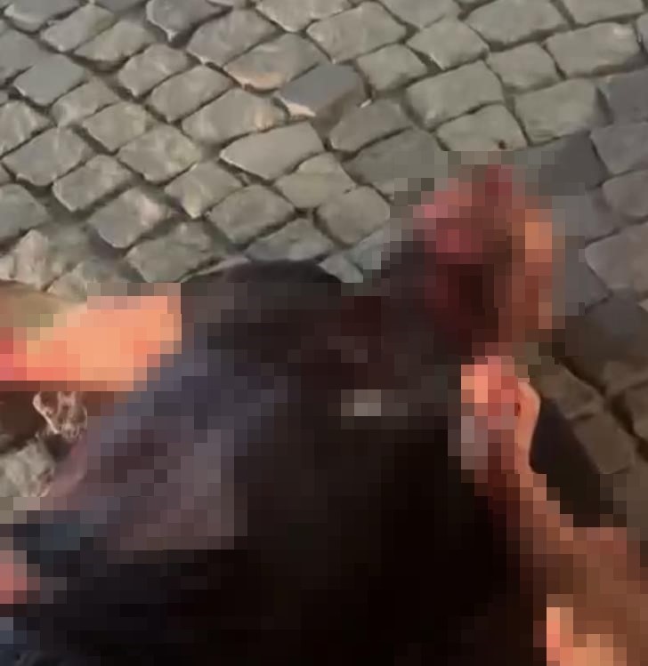Husumetli olduğu akrabasının boğazını kesip kahvehanenin önüne attı