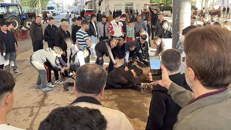 Sivas'ta kurban kesim noktalarında hareketlilik