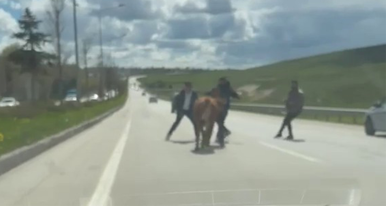 Erzurum'da bir kurban klasiği!