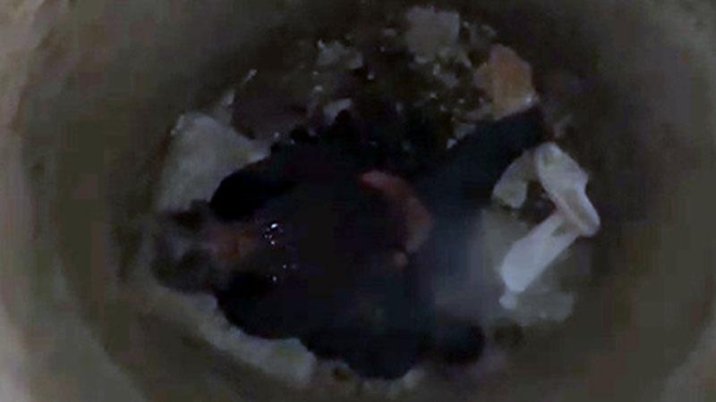 Kuyuya düşen kadın yaralandıKonya’nın Ereğli ilçesinde su kuyusuna düşen Feride Ballı (55) itfaiye ekipleri tarafından kurtarıldı. Yaralı kadın hastaneye kaldırıldı.