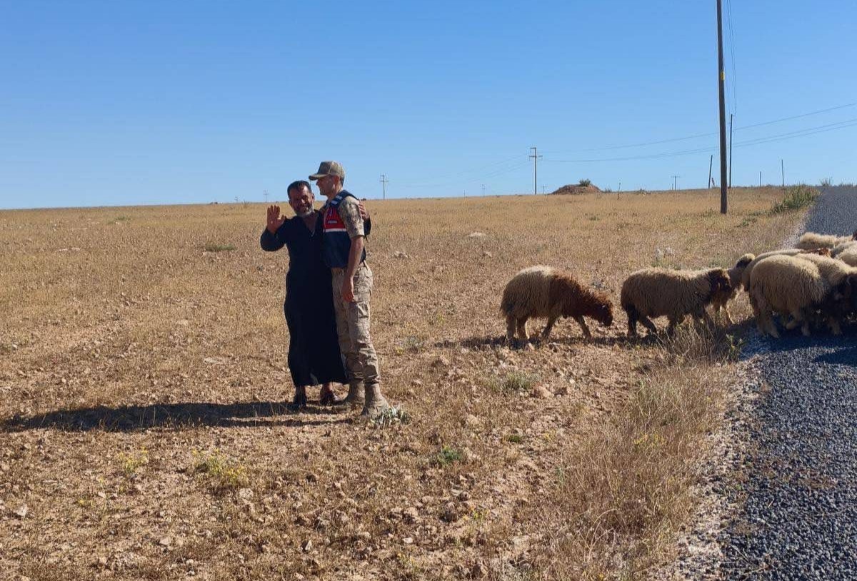 Kaybolan küçükbaş hayvanları jandarma buldu