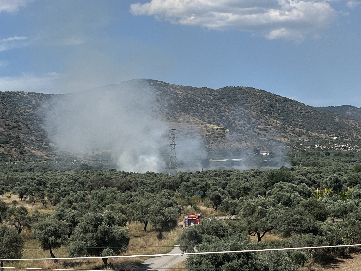 Bayındır’da zeytinlik alanda yangın