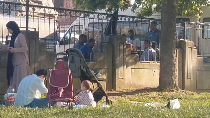 Pendik’te kaldırımda mangal, parkta piknik yaptılar; cezadan kaçamadılar
