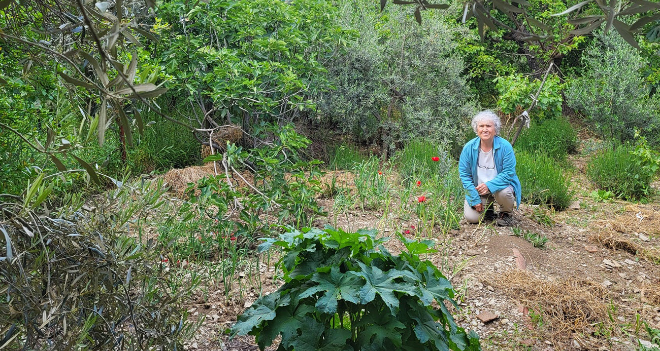 Teknolojinin içinden köy yaşamına