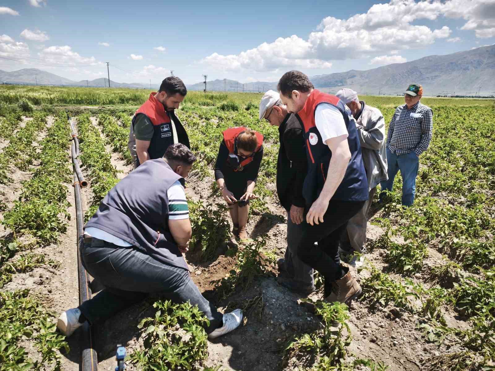 Dolu yağışı tarım alanlarına zarar verdi
