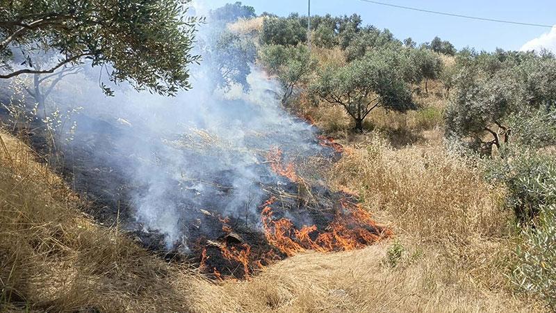 Aydın'da maki yangını; 40 dekar alan zarar gördü
