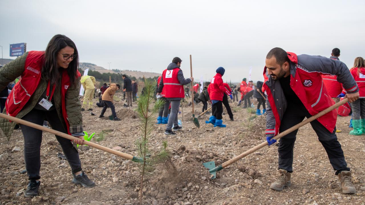 Hastaya Kan, Ormana Can projesiyle 4,7 milyon fidan toprakla buluştu