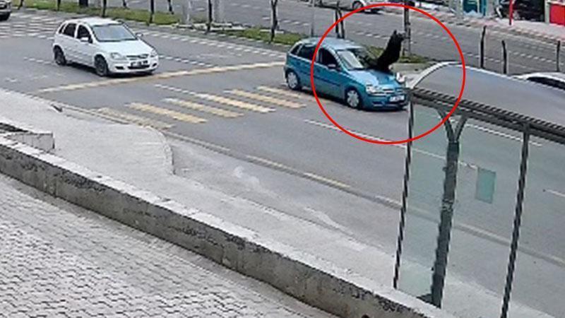 Otomobilin çarptığı yaya yaşam mücadelesi veriyor, sürücü serbest
